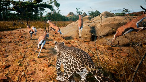 Animalia Survival (PC) - Steam Key - GLOBAL - 3