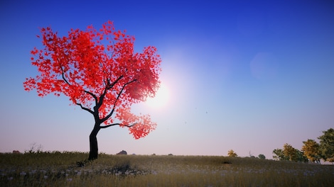 Animallica (PC) - Steam Gift - EUROPE - 10