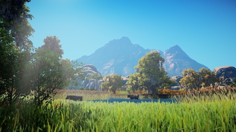 Animallica (PC) - Steam Key - EUROPE - 7
