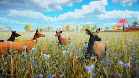 Animallica (PC) - Steam Key - EUROPE - 0