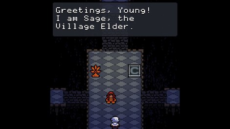 Anodyne Steam Key GLOBAL - 7