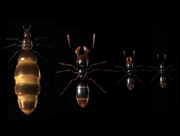 Ant Queen Steam Gift GLOBAL - 3