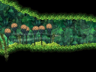 Aquaria Steam Key GLOBAL - 2