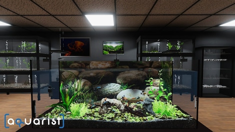 Aquarist (PC) - Steam Key - GLOBAL - 14