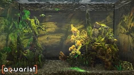 Aquarist (PC) - Steam Key - GLOBAL - 13