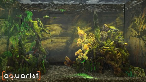 Aquarist (PC) - Steam Key - NORTH AMERICA - 13