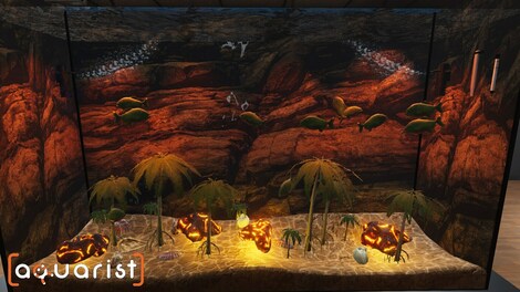 Aquarist (PC) - Steam Key - NORTH AMERICA - 12