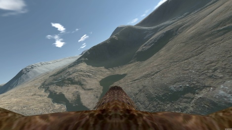 Aquila Bird Flight Simulator Steam Key GLOBAL - 3