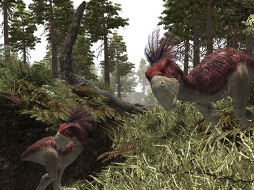 Arcania + Gothic Pack (PC) - Steam Gift - GLOBAL - 26