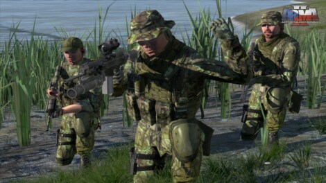 Arma 2: Army of the Czech Republic Steam Gift GLOBAL - 13
