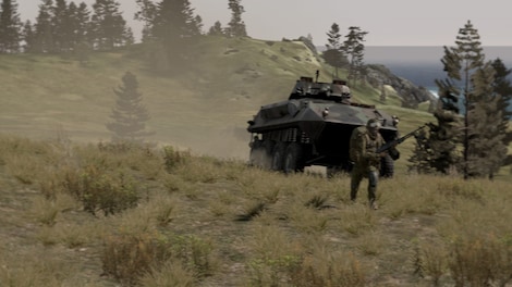 Arma 2 (PC) - Steam Account - GLOBAL - 15