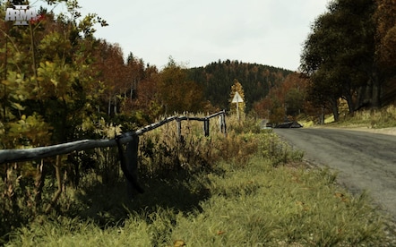 Arma 2 (PC) - Steam Gift - GLOBAL - 10