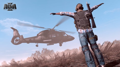 Arma 2: Private Military Company Steam Gift GLOBAL - 24