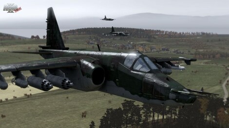 Arma 2 Steam Key EUROPE - 13