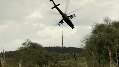 Arma 2 Steam Key EUROPE - 11