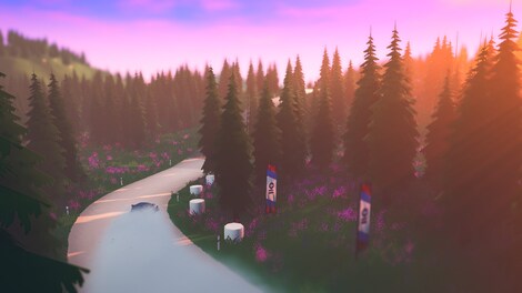 art of rally (PC) - Steam Account - GLOBAL - 11
