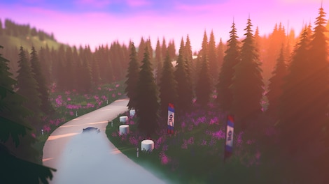 art of rally (PC) - Steam Key - CIS - 11