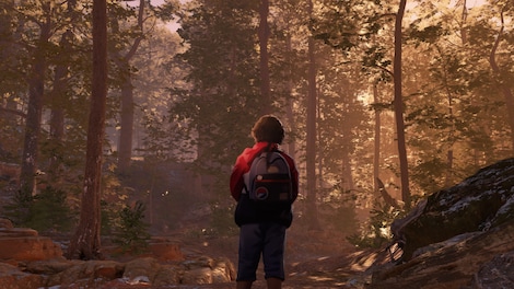 As Dusk Falls (PC) - Steam Key - GLOBAL - 11