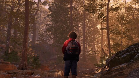 As Dusk Falls (Xbox Series X/S, Windows 10) - Xbox Live Key - TURKEY - 11