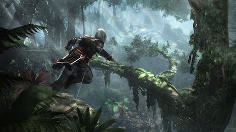 Assassin's Creed IV: Black Flag (PC) - Steam Account - GLOBAL - 7