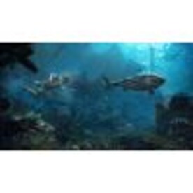 Assassin's Creed IV: Black Flag PSN PS4 Key GERMANY - 3