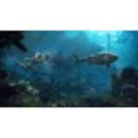 Assassin's Creed IV: Black Flag PSN PS4 Key NORTH AMERICA - 3