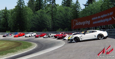 Assetto Corsa | Ultimate Edition (PC) - Steam Key - CIS - 11