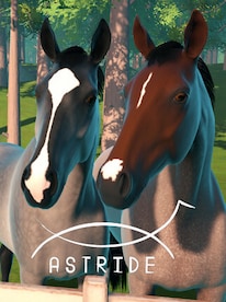 Astride (PC) - Steam Gift - EUROPE - 1