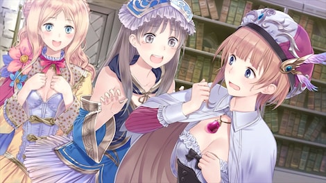 Atelier Rorona ~The Alchemist of Arland~ DX (PC) - Steam Account - GLOBAL - 11