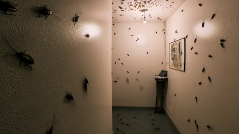 August Night (PC) - Steam Key - GLOBAL - 7