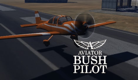 Aviator - Bush Pilot Steam Key GLOBAL - 2