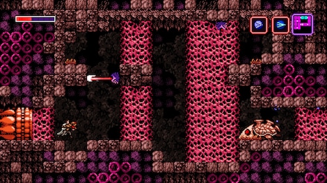 Axiom Verge Steam Key GLOBAL - 9