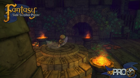 Axis Game Factory's AGFPRO Fantasy Side-Scroller Player Steam Key GLOBAL - 5