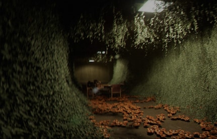 Backrooms: Escape Together (PC) - Steam Account - GLOBAL - 4