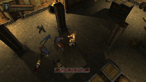 Baldur's Gate: Dark Alliance II (PC) - Steam Gift - NORTH AMERICA - 12