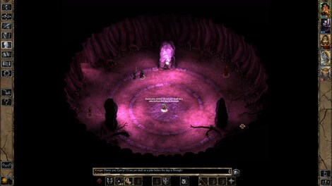 Baldur's Gate II: Enhanced Edition (PC) - Steam Gift - EUROPE - 14