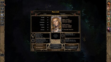 Baldur's Gate II: Enhanced Edition (PC) - Steam Key - NORTH AMERICA - 6