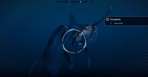 Beyond Blue PC - Epic Games Account - GLOBAL - 18