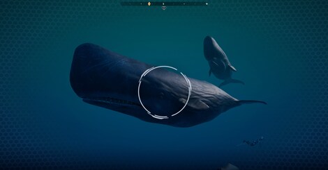 Beyond Blue (PC) - Steam Gift - EUROPE - 10