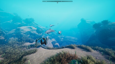 Beyond Blue (PC) - Steam Gift - GLOBAL - 7