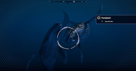 Beyond Blue (PC) - Steam Key - EUROPE - 18