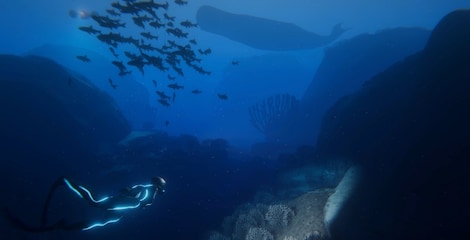 Beyond Blue (PC) - Steam Key - EUROPE - 22