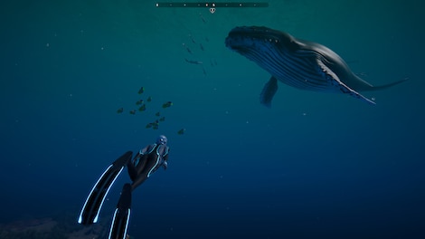 Beyond Blue (PC) - Steam Key - GLOBAL - 9