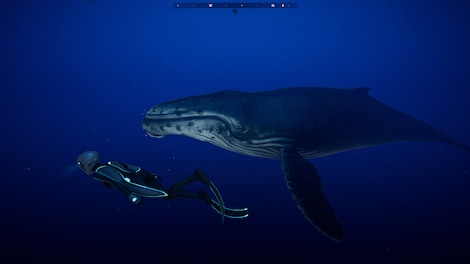 Beyond Blue (PC) - Steam Key - GLOBAL - 11