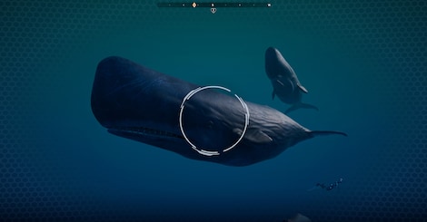 Beyond Blue (PC) - Steam Key - GLOBAL - 10