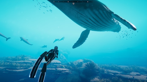 Beyond Blue (PC) - Steam Key - GLOBAL - 8
