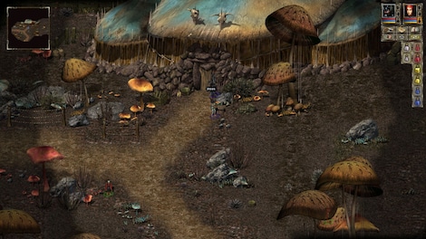 Beyond Divinity GOG.COM Key GLOBAL - 6