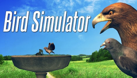 Bird Simulator (PC) - Steam Key - GLOBAL - 0