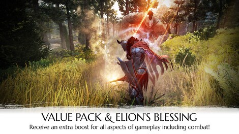 Black Desert Online - Explorer's Package Steam Gift NORTH AMERICA - 3