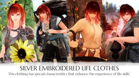 Black Desert Online - Explorer's Package Upgrade Steam Gift GLOBAL - 0